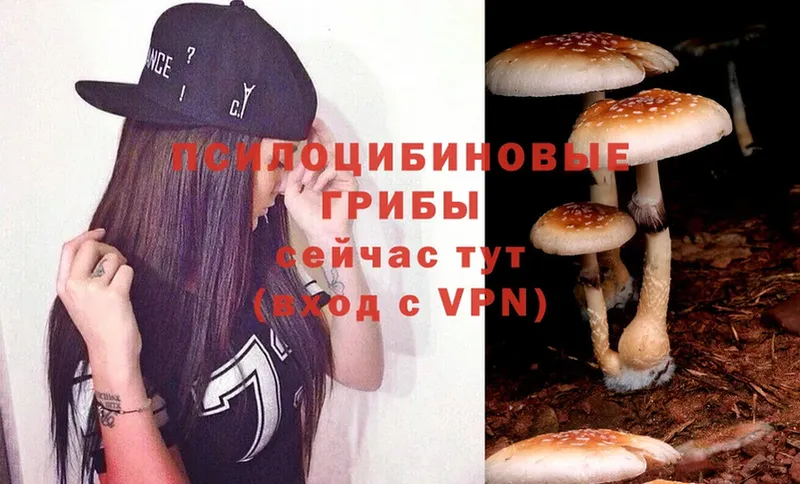 Псилоцибиновые грибы MAGIC MUSHROOMS  как найти   мега зеркало  Фролово 